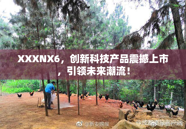 XXXNX6，创新科技产品震撼上市，引领未来潮流！