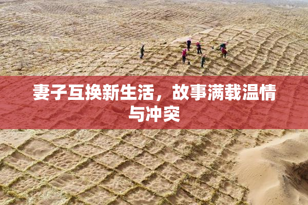 妻子互换新生活，故事满载温情与冲突
