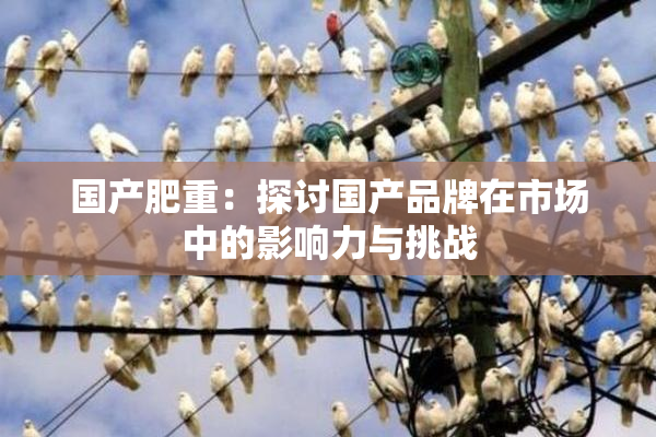 国产肥重：探讨国产品牌在市场中的影响力与挑战