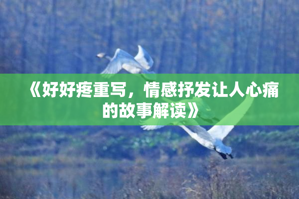 《好好疼重写，情感抒发让人心痛的故事解读》