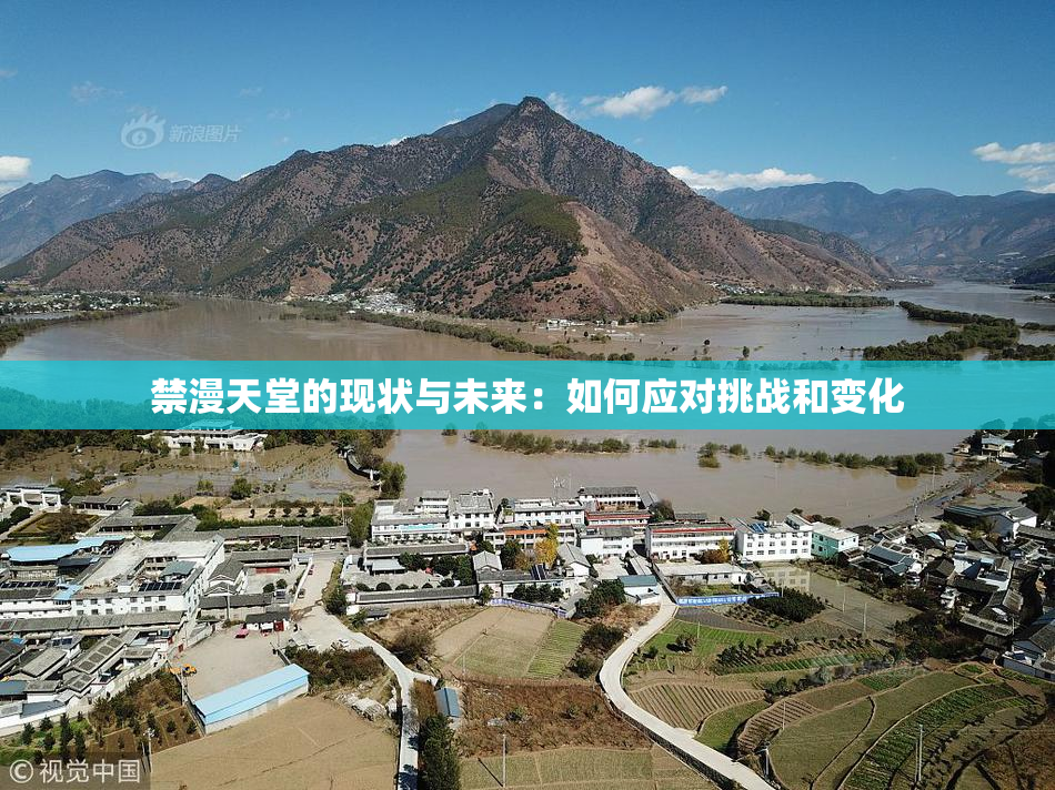 禁漫天堂的现状与未来：如何应对挑战和变化