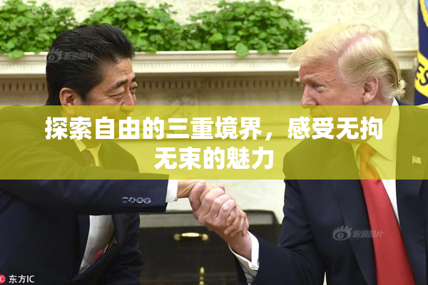 探索自由的三重境界，感受无拘无束的魅力