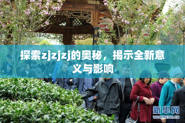 探索zjzjzj的奥秘，揭示全新意义与影响