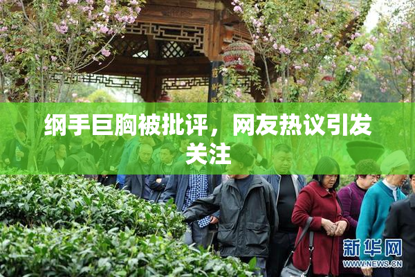 纲手巨胸被批评，网友热议引发关注