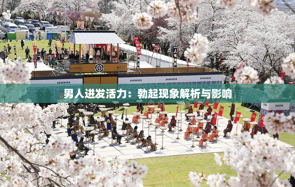 男人迸发活力：勃起现象解析与影响