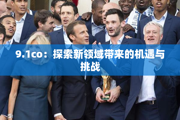 9.1co：探索新领域带来的机遇与挑战