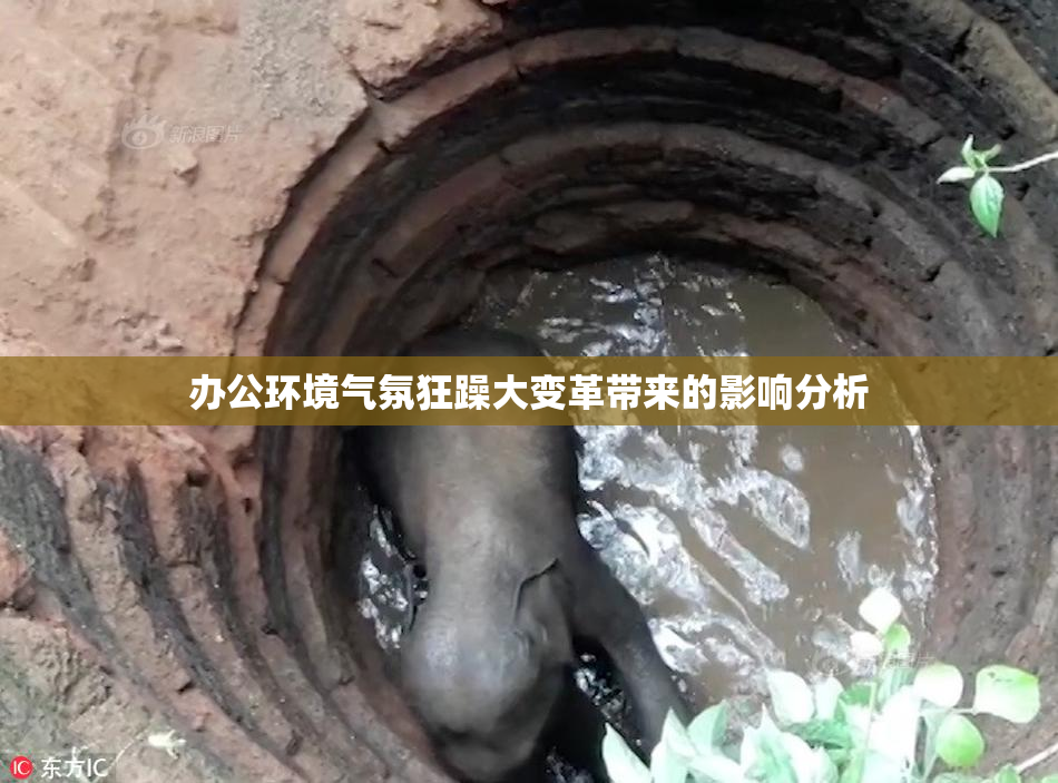 办公环境气氛狂躁大变革带来的影响分析