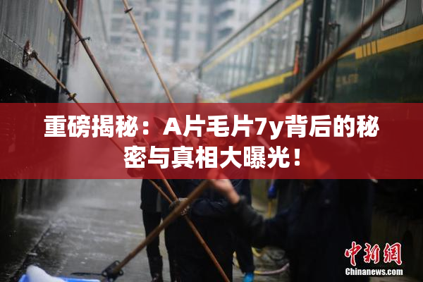 重磅揭秘：A片毛片7y背后的秘密与真相大曝光！