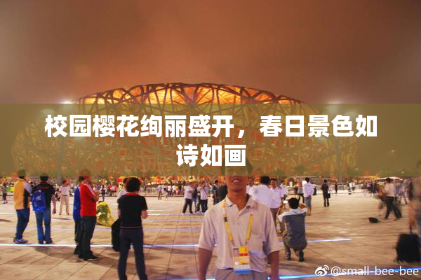 校园樱花绚丽盛开，春日景色如诗如画