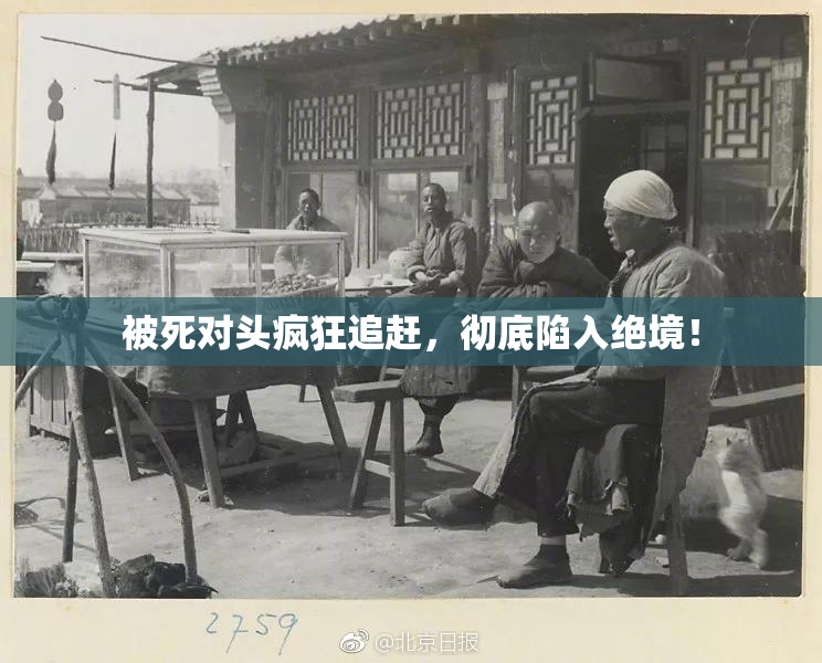 被死对头疯狂追赶，彻底陷入绝境！
