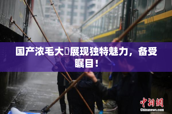 国产浓毛大泬展现独特魅力，备受瞩目！