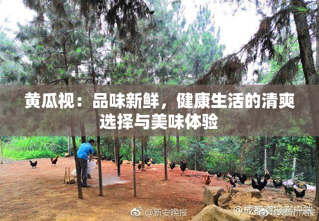黄瓜视：品味新鲜，健康生活的清爽选择与美味体验
