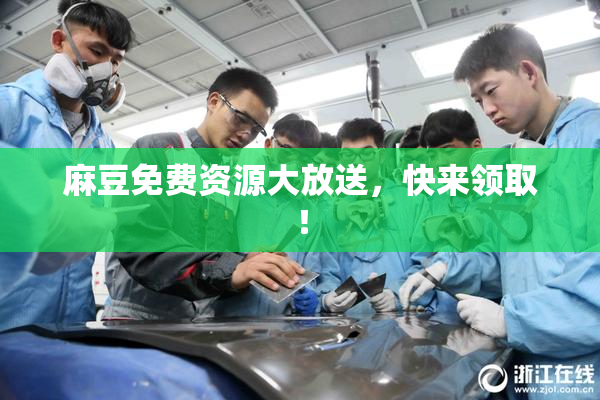 麻豆免费资源大放送，快来领取！