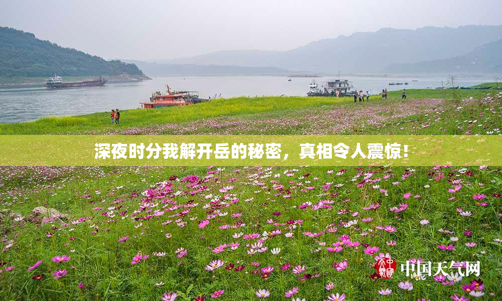深夜时分我解开岳的秘密，真相令人震惊！
