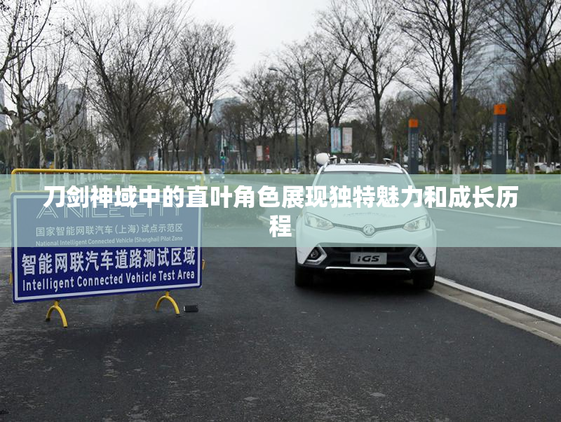 刀剑神域中的直叶角色展现独特魅力和成长历程