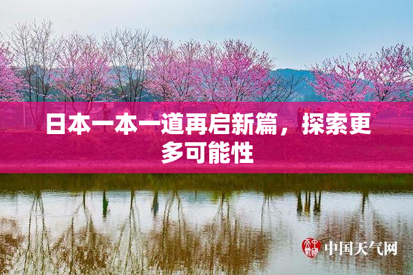 日本一本一道再启新篇，探索更多可能性