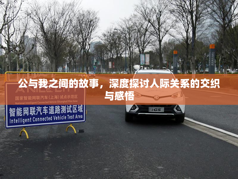 公与我之间的故事，深度探讨人际关系的交织与感悟