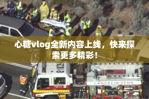 心糖vlog全新内容上线，快来探索更多精彩！