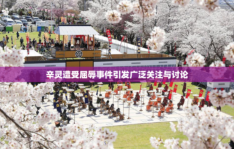 辛灵遭受屈辱事件引发广泛关注与讨论
