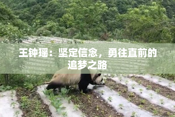 王钟瑶：坚定信念，勇往直前的追梦之路