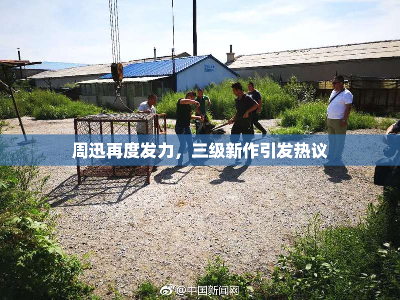 周迅再度发力，三级新作引发热议