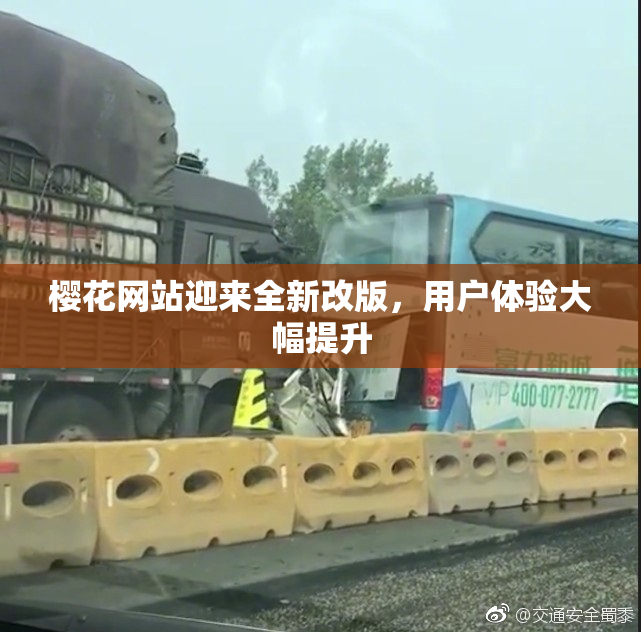 樱花网站迎来全新改版，用户体验大幅提升
