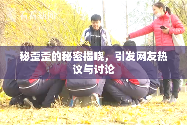 秘歪歪的秘密揭晓，引发网友热议与讨论