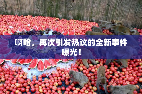 啊哈，再次引发热议的全新事件曝光！