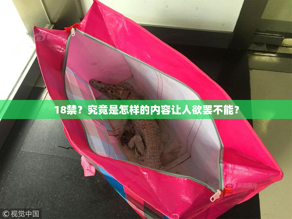 18禁？究竟是怎样的内容让人欲罢不能？