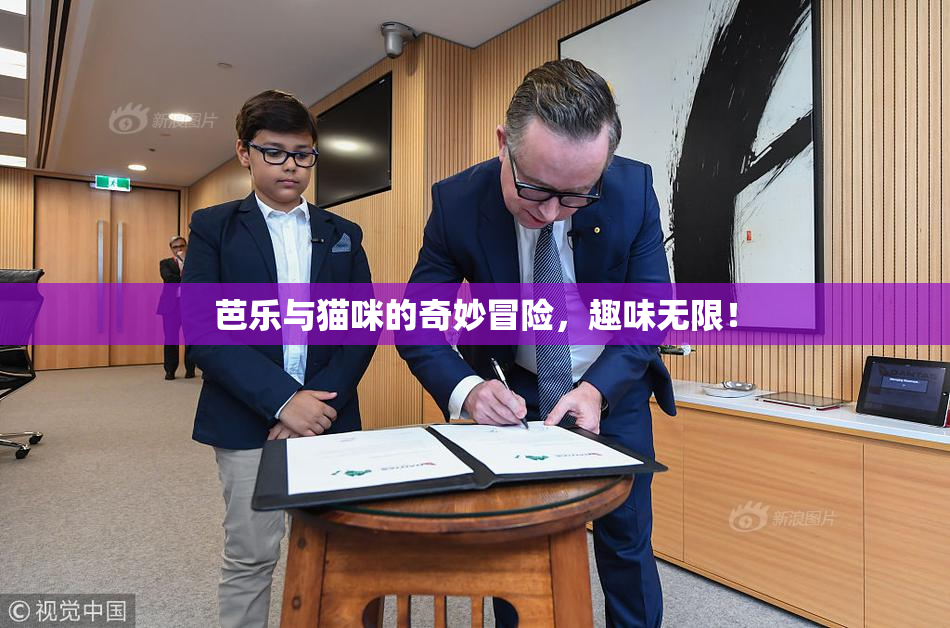 芭乐与猫咪的奇妙冒险，趣味无限！