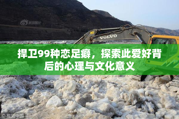 捍卫99种恋足癖，探索此爱好背后的心理与文化意义