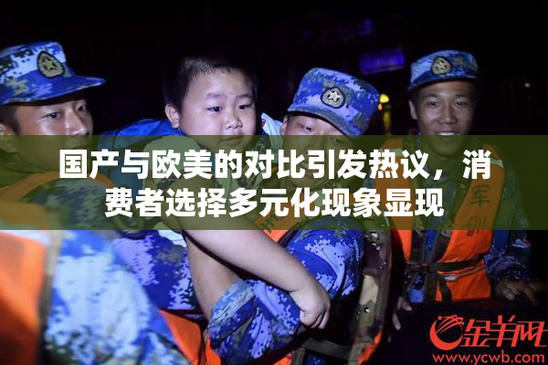 国产与欧美的对比引发热议，消费者选择多元化现象显现