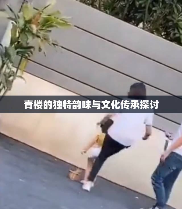 青楼的独特韵味与文化传承探讨