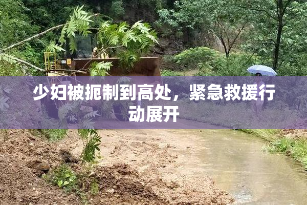 少妇被扼制到高处，紧急救援行动展开