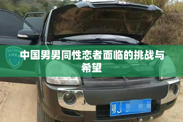 中国男男同性恋者面临的挑战与希望