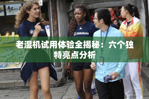 老湿机试用体验全揭秘：六个独特亮点分析