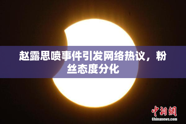 赵露思喷事件引发网络热议，粉丝态度分化