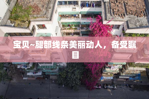 宝贝~腿部线条美丽动人，备受瞩目