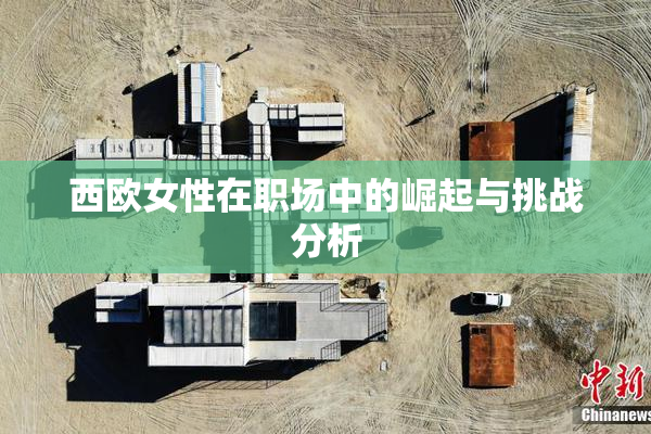 西欧女性在职场中的崛起与挑战分析