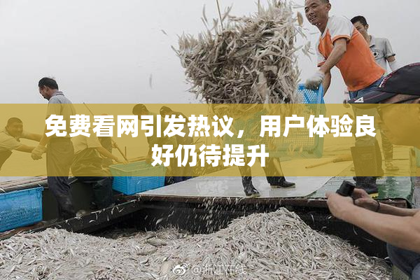 免费看网引发热议，用户体验良好仍待提升