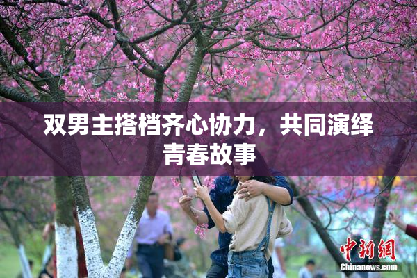 双男主搭档齐心协力，共同演绎青春故事