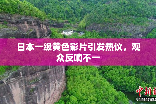 日本一级黄色影片引发热议，观众反响不一