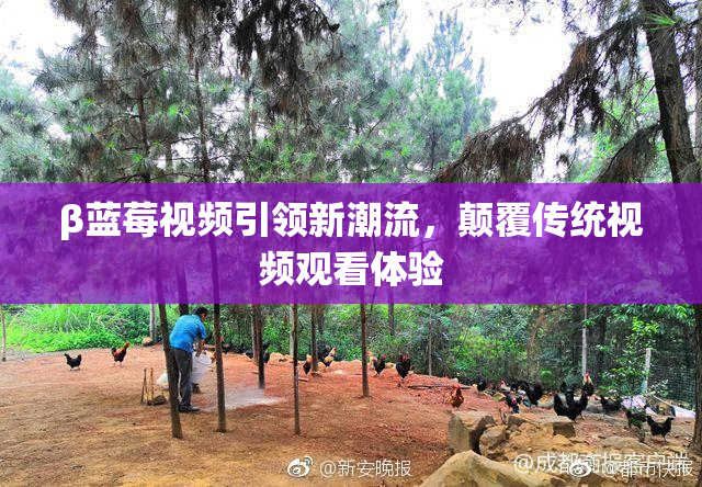 β蓝莓视频引领新潮流，颠覆传统视频观看体验
