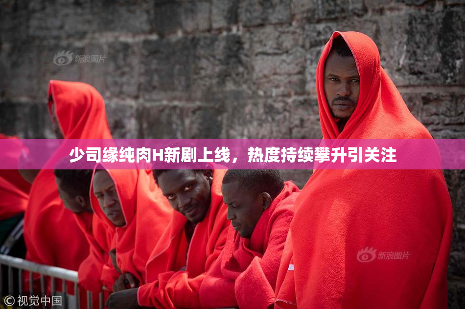 少司缘纯肉H新剧上线，热度持续攀升引关注