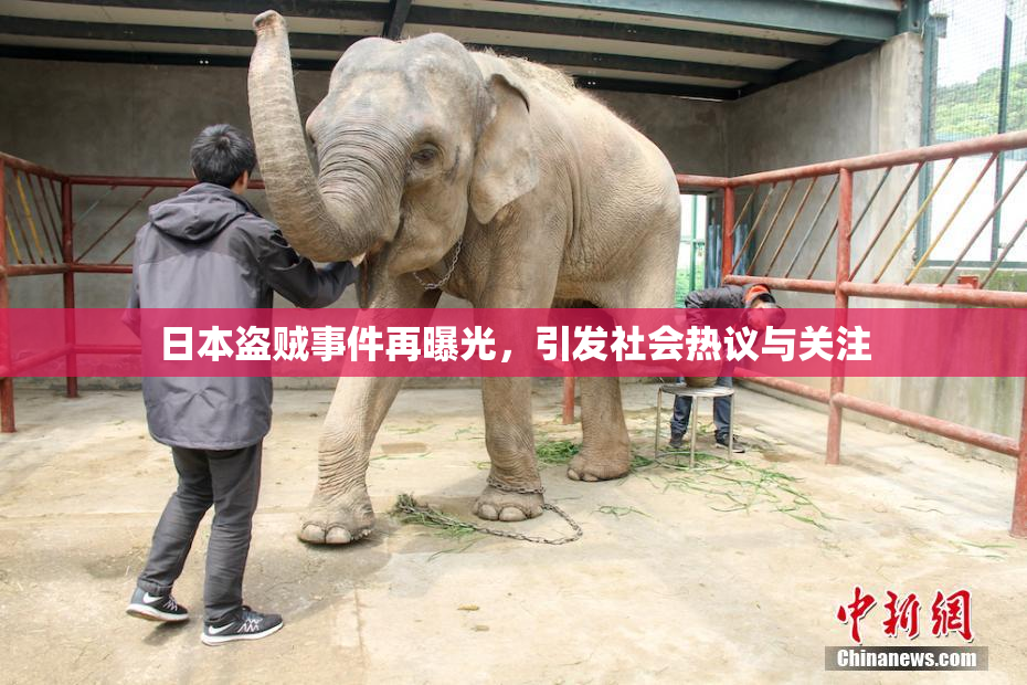 日本盗贼事件再曝光，引发社会热议与关注
