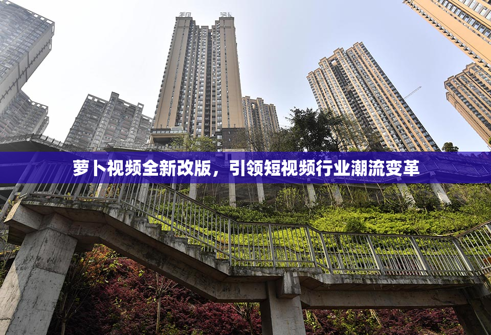萝卜视频全新改版，引领短视频行业潮流变革