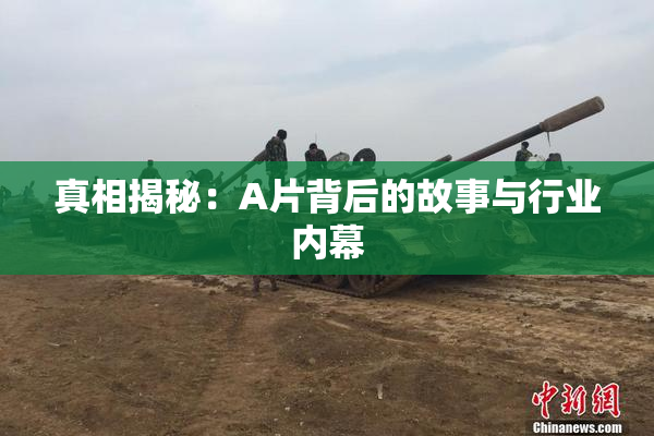 真相揭秘：A片背后的故事与行业内幕