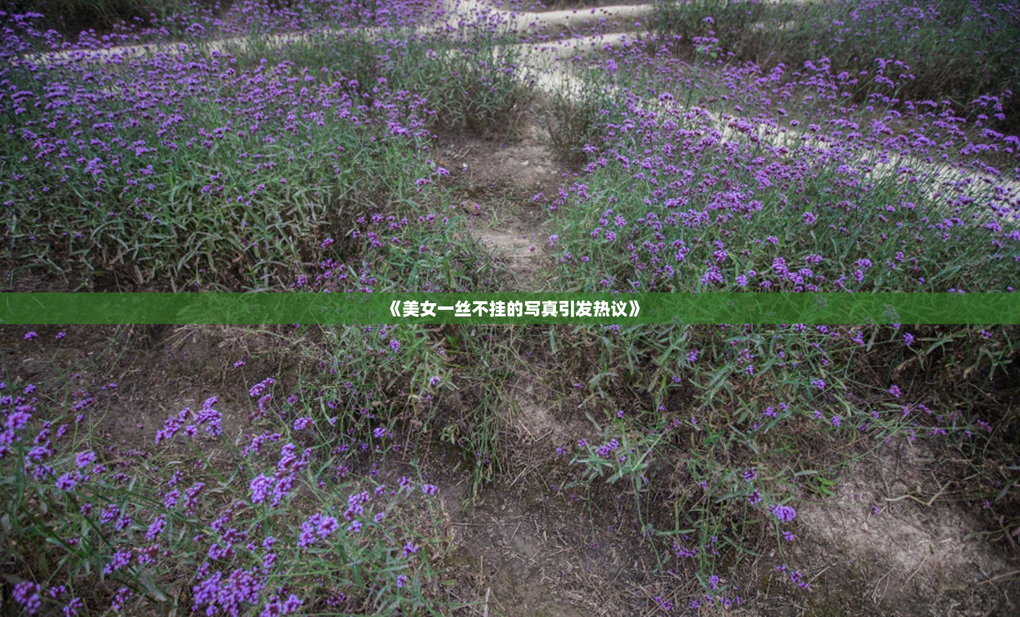 《美女一丝不挂的写真引发热议》