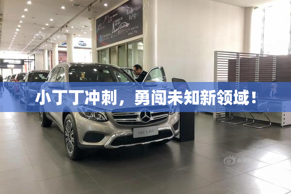 小丁丁冲刺，勇闯未知新领域！