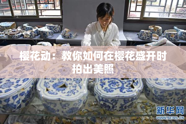 樱花动：教你如何在樱花盛开时拍出美照
